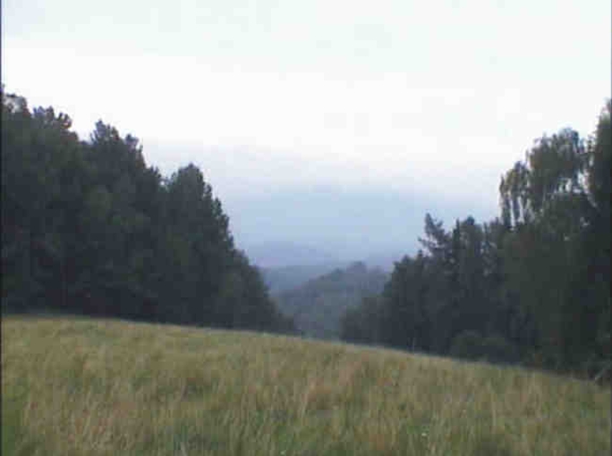 Zábrdský kopec / Reilich Berg